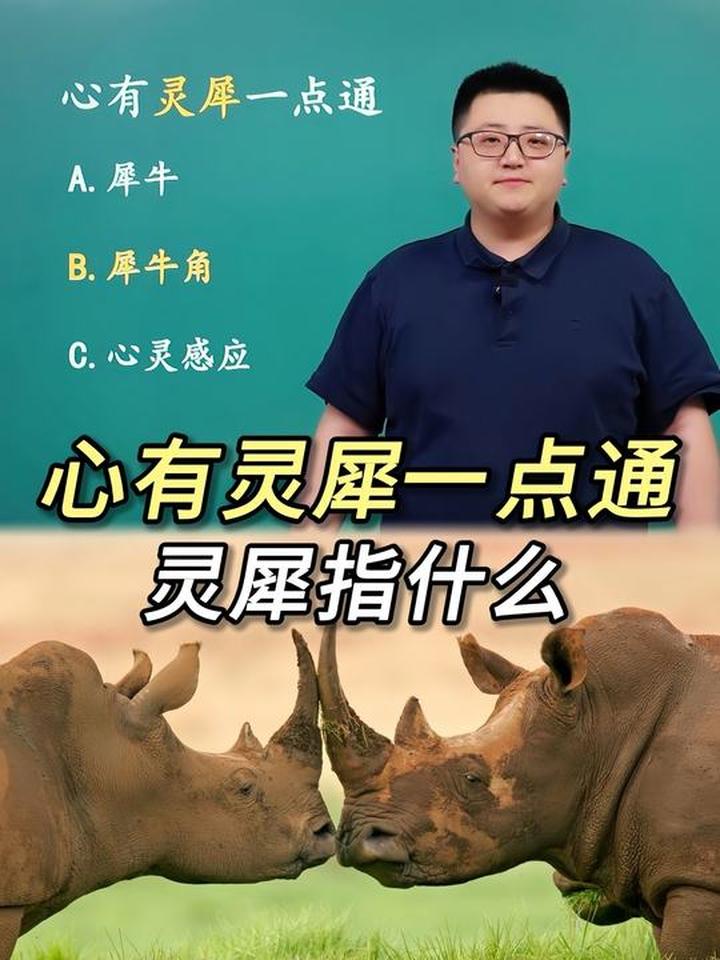 男生说心有灵犀什么意思