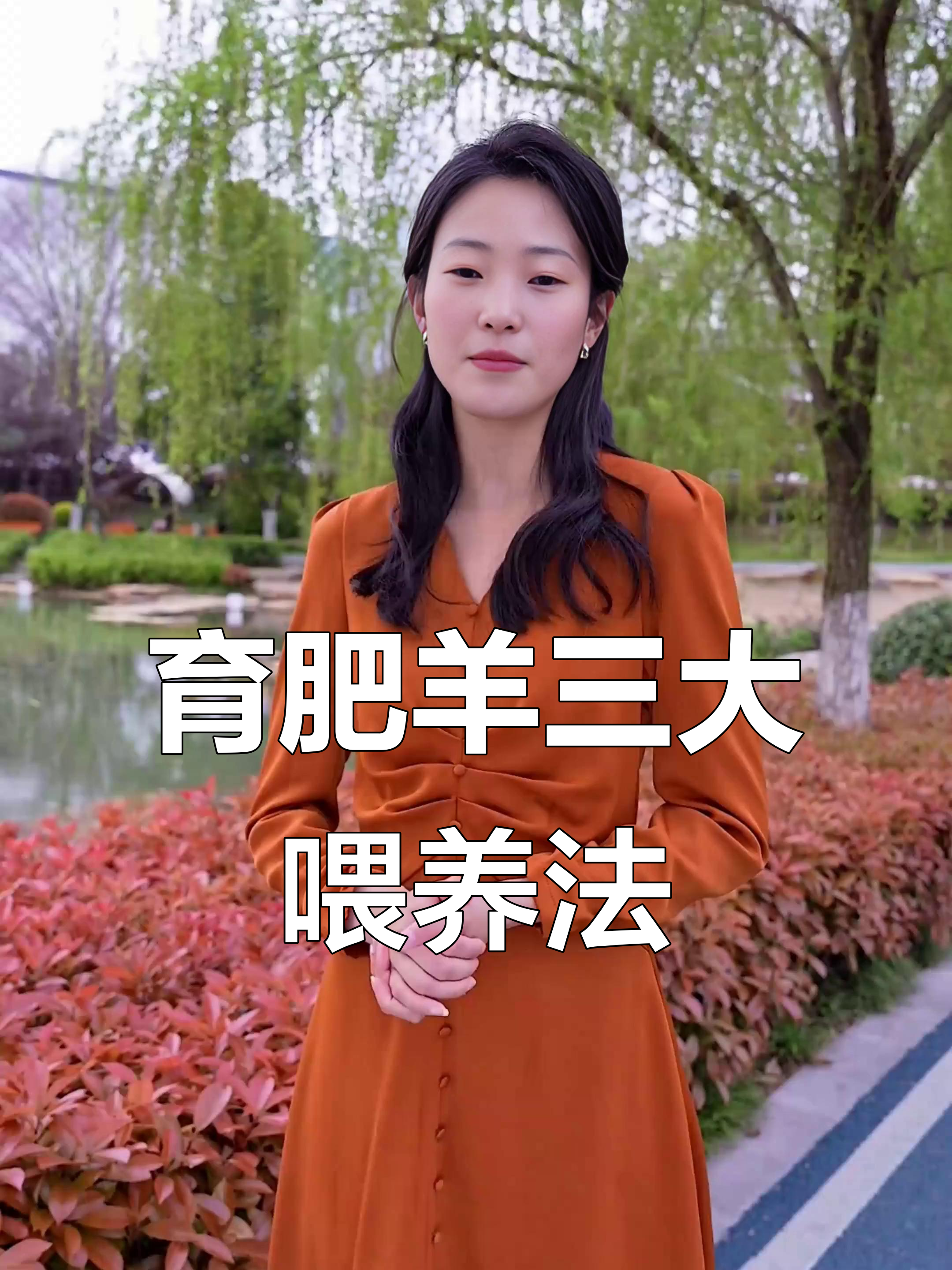 养殖育肥羊的注意事项